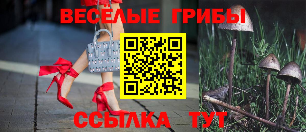 Азов  дарнет шоп  Вход с VPN  Псилоцибиновые грибы Magic Shrooms 