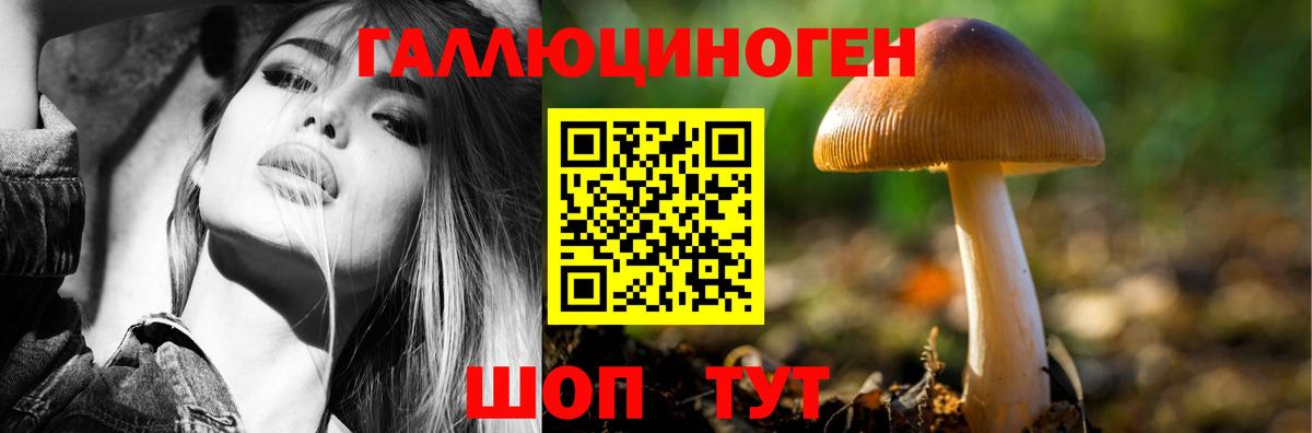 Галлюциногенные грибы GOLDEN TEACHER Азов